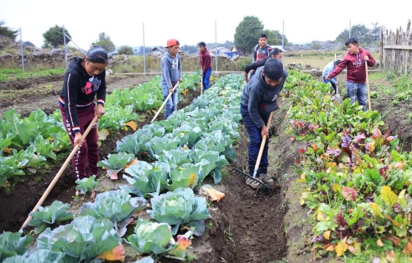 Día Mundial de la Inocuidad de los Alimentos 2023