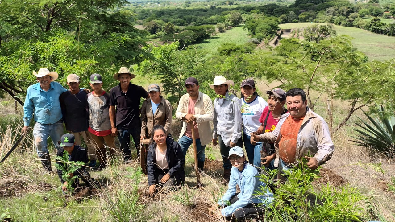 Continúan impulsando programas de reforestación en el territorio