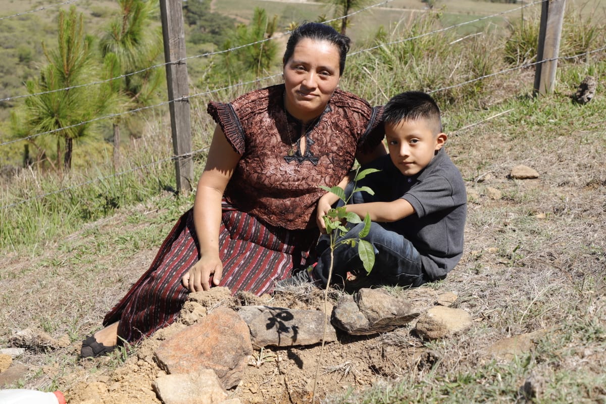 Primer “Viernes de Reforestación” reúne a decenas de voluntarios