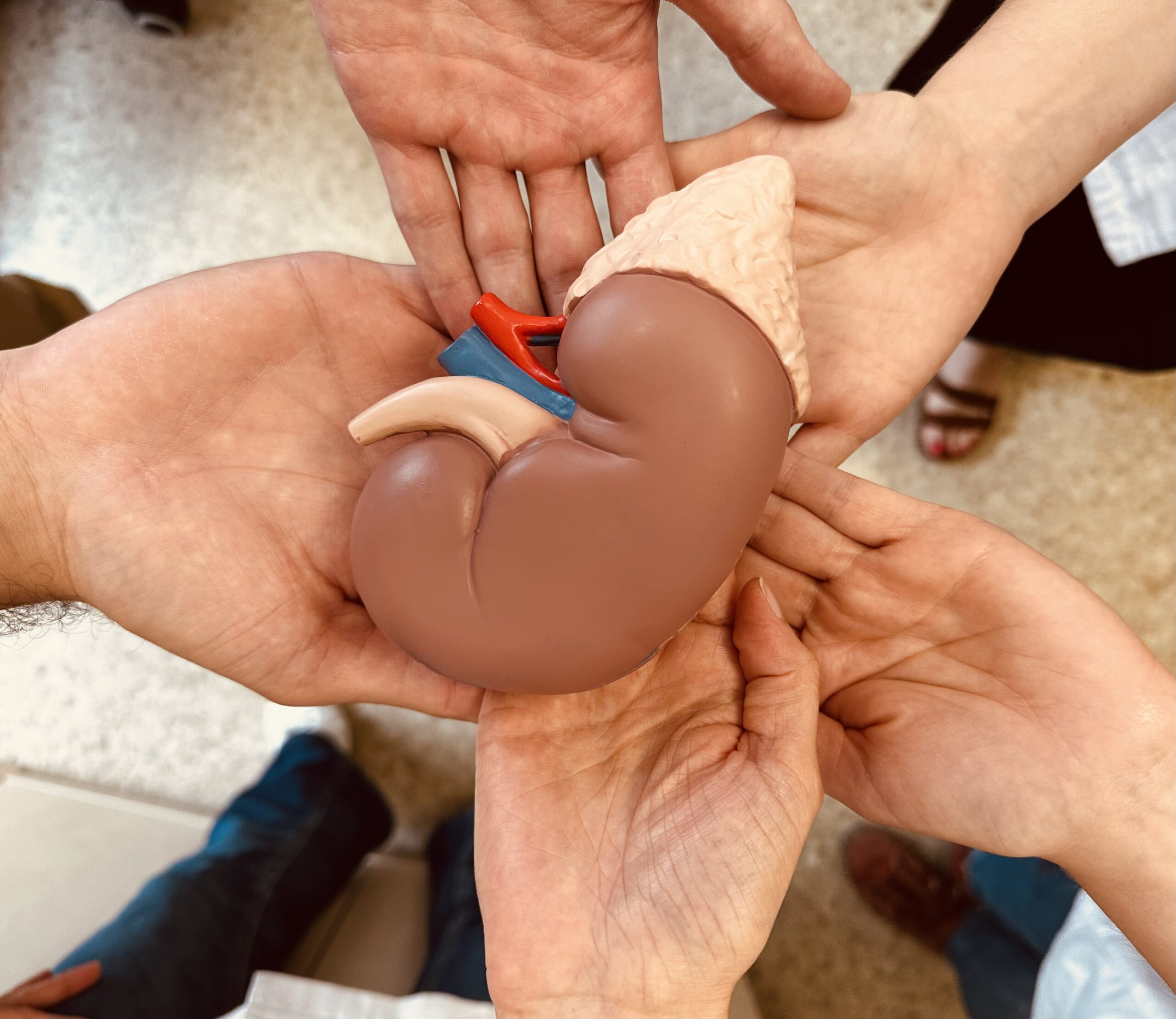 La donación de órganos salva vidas.
