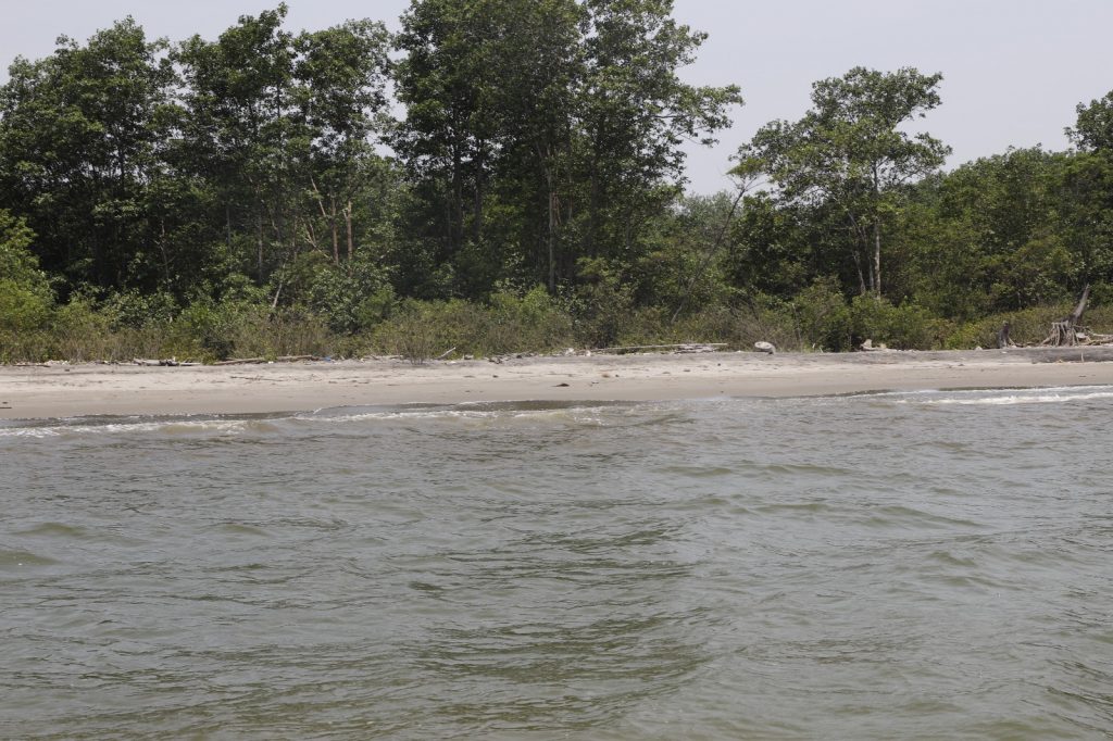 Efectiva labor del MARN en la desembocadura del río Motagua
