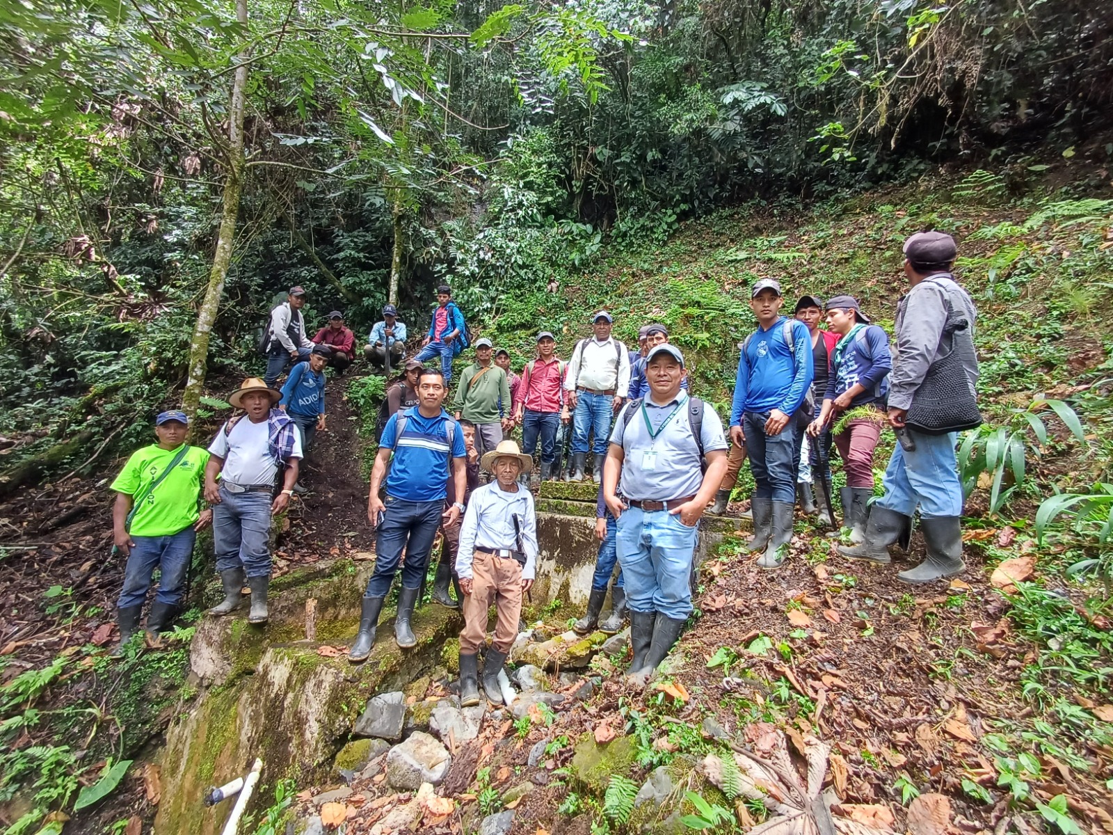 Fortalecen campañas de reforestación en Alta Verapaz