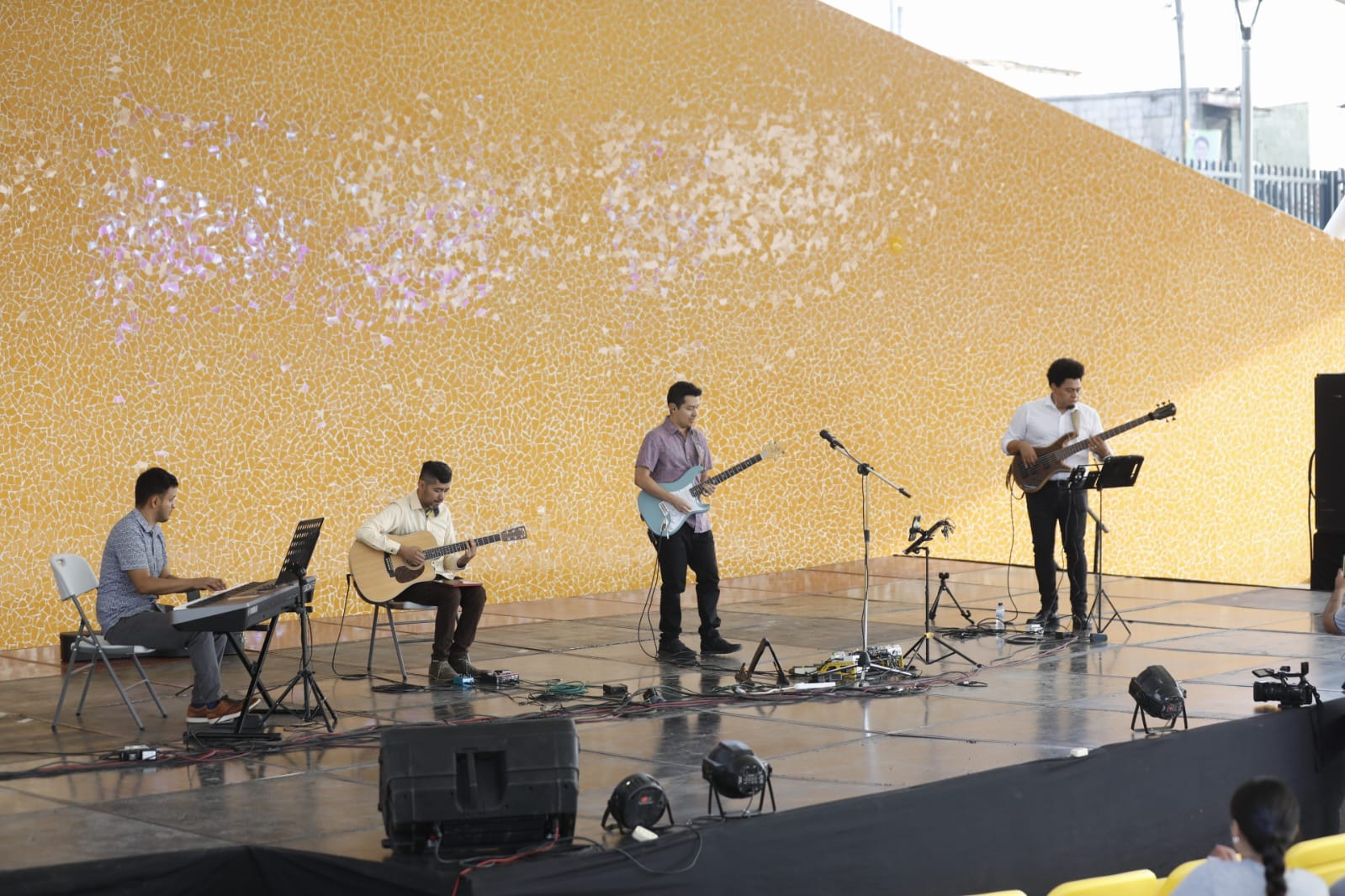 Fortalecen acciones para apoyar a los artistas nacionales