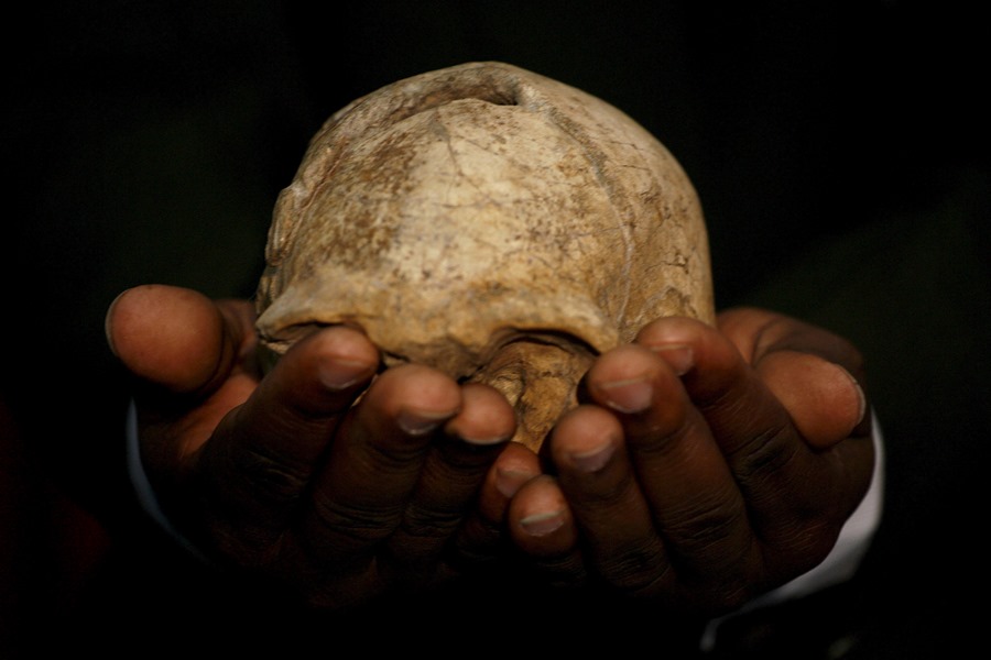 Los parientes evolutivos humanos se masacraban unos a otros