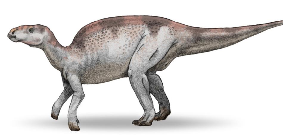 Nuevos fósiles cuestionan supremacía de dinosaurios pico de pato en el Cretácico