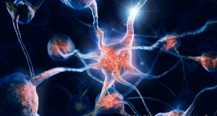 La inteligencia artificial podría revolucionar las tecnologías para descodificar el cerebro.