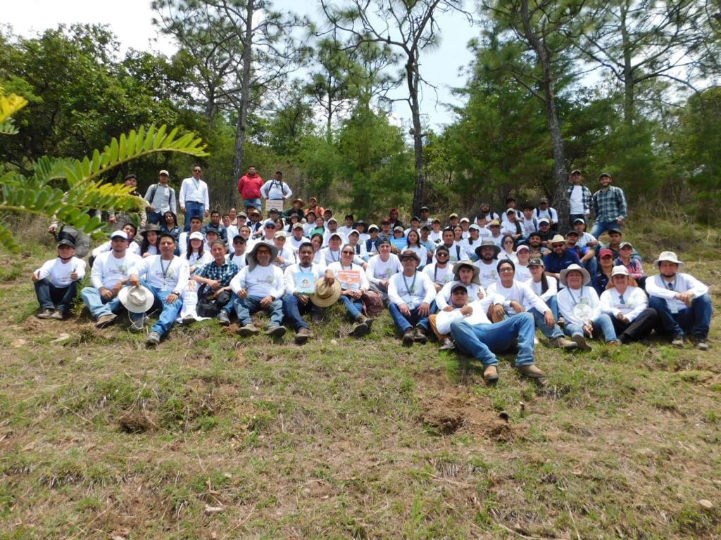 Proyectan 45 campañas de reforestación en Huehuetenango