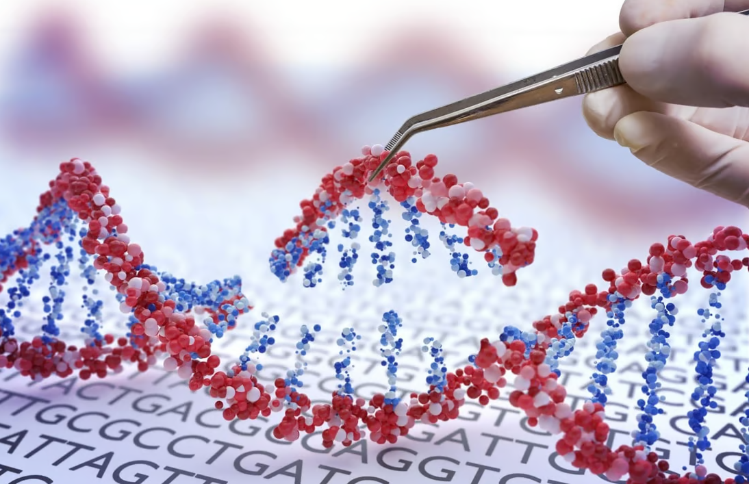 Crean herramienta de edición genética sin necesidad de cortar el ADN.