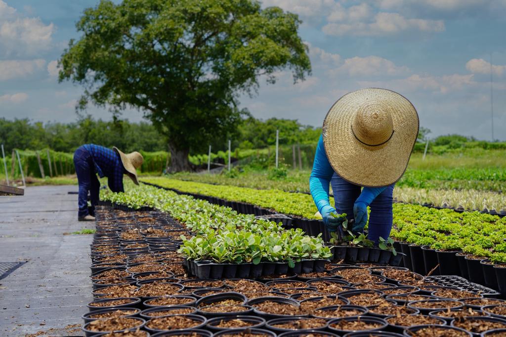 Canciller viaja a Florida ante la Ley SB 1718