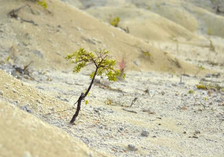 Desierto Río Azul: Una belleza escondida en la Biósfera Maya