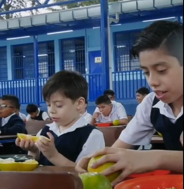 Más de 3 millones de beneficiados con el Programa Alimentación Escolar