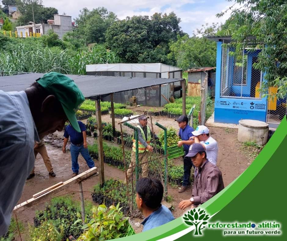Entregan 36 mil árboles como parte de la campaña Reforestando Atitlán
