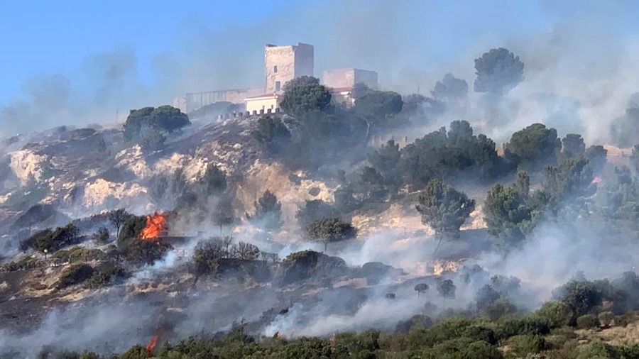 El Papa pide “esfuerzos valientes” ante el desafío del cambio climático tras los incendios