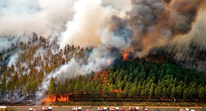 Estudio exige gestión integral de riesgo de incendios forestales