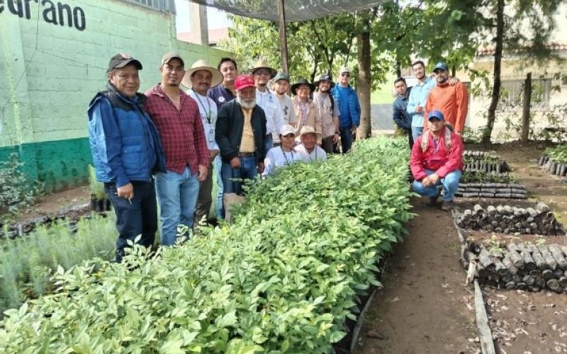 Voluntarios unidos para reforestar en Santa Cruz del Quiché