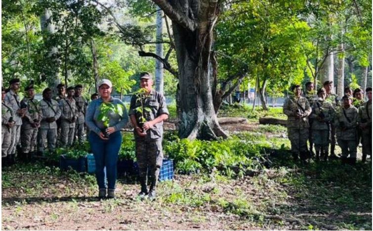 MARN planta más de 2 mil árboles con apoyo de voluntarios en Petén