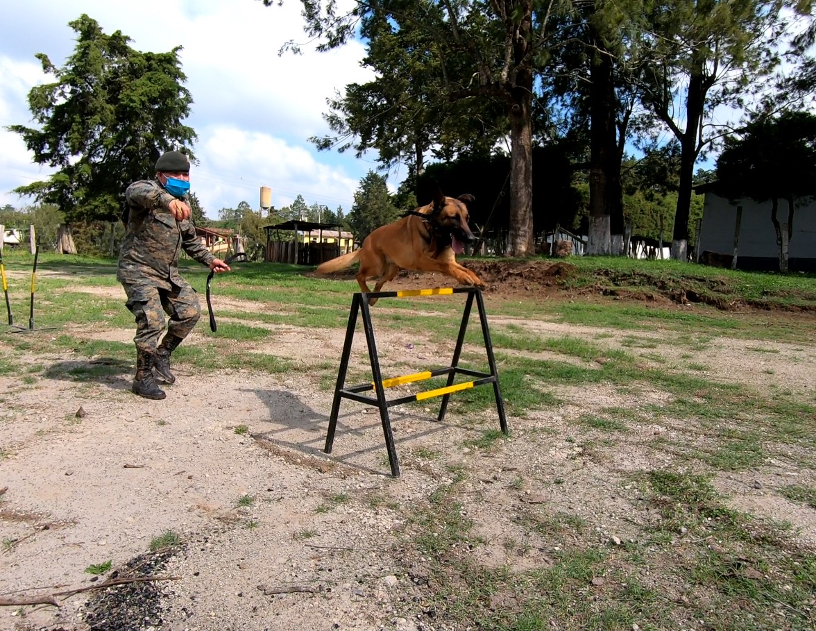 Apoyo canino en Unidades del Ejército de Guatemala