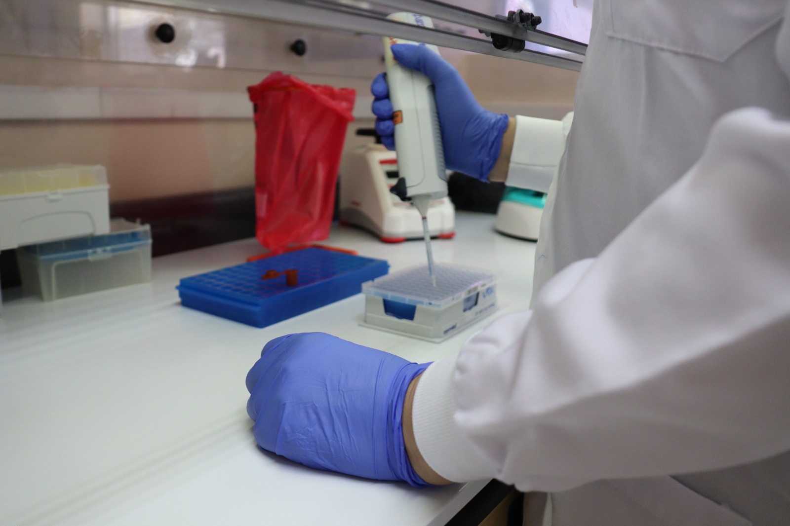 Laboratorio de salud desarrolla análisis de casos sospechosos de dengue. /Foto: MSPAS