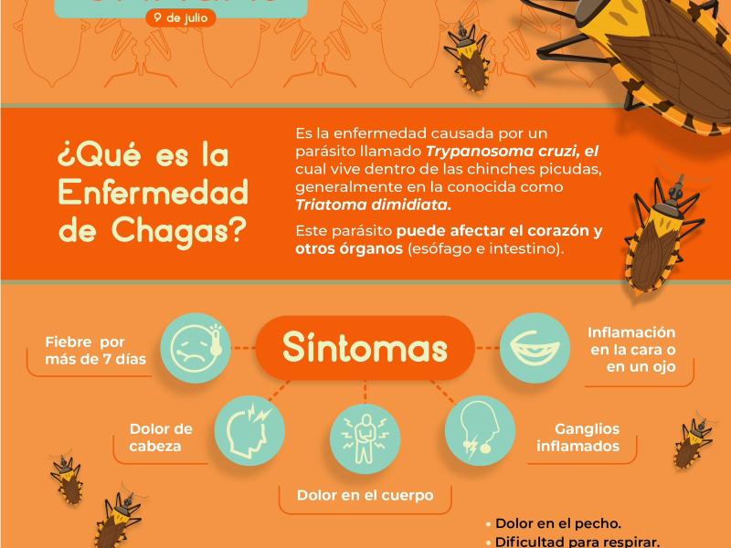 Consejos del MSPAS sobre la enfermedad de Chagas. / Foto: MSPAS.