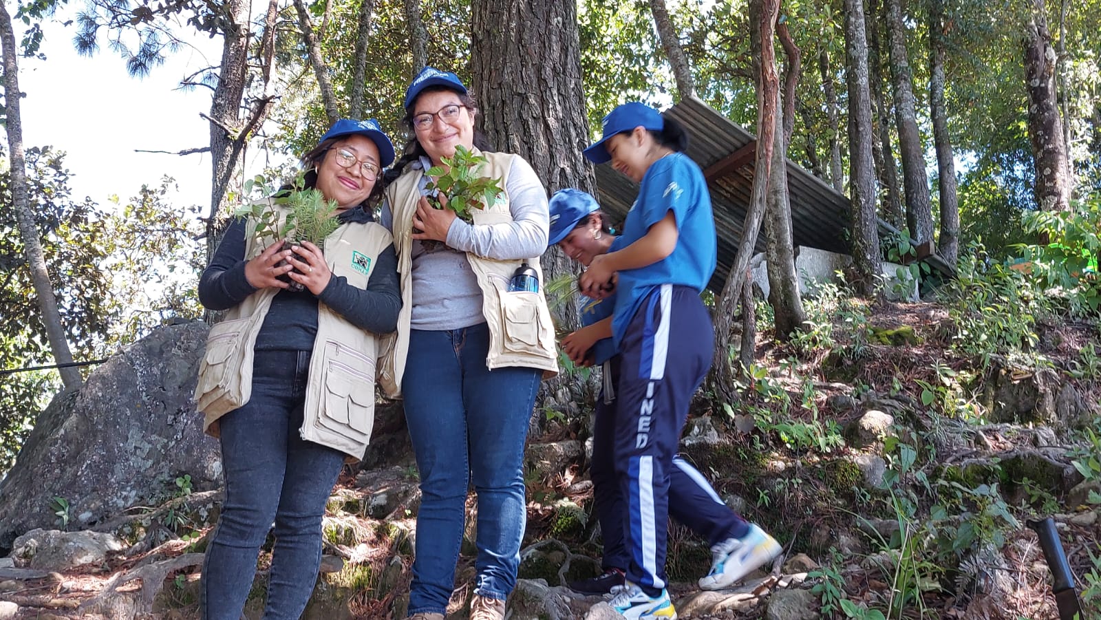 Continúan estrategias de reforestación en Sololá