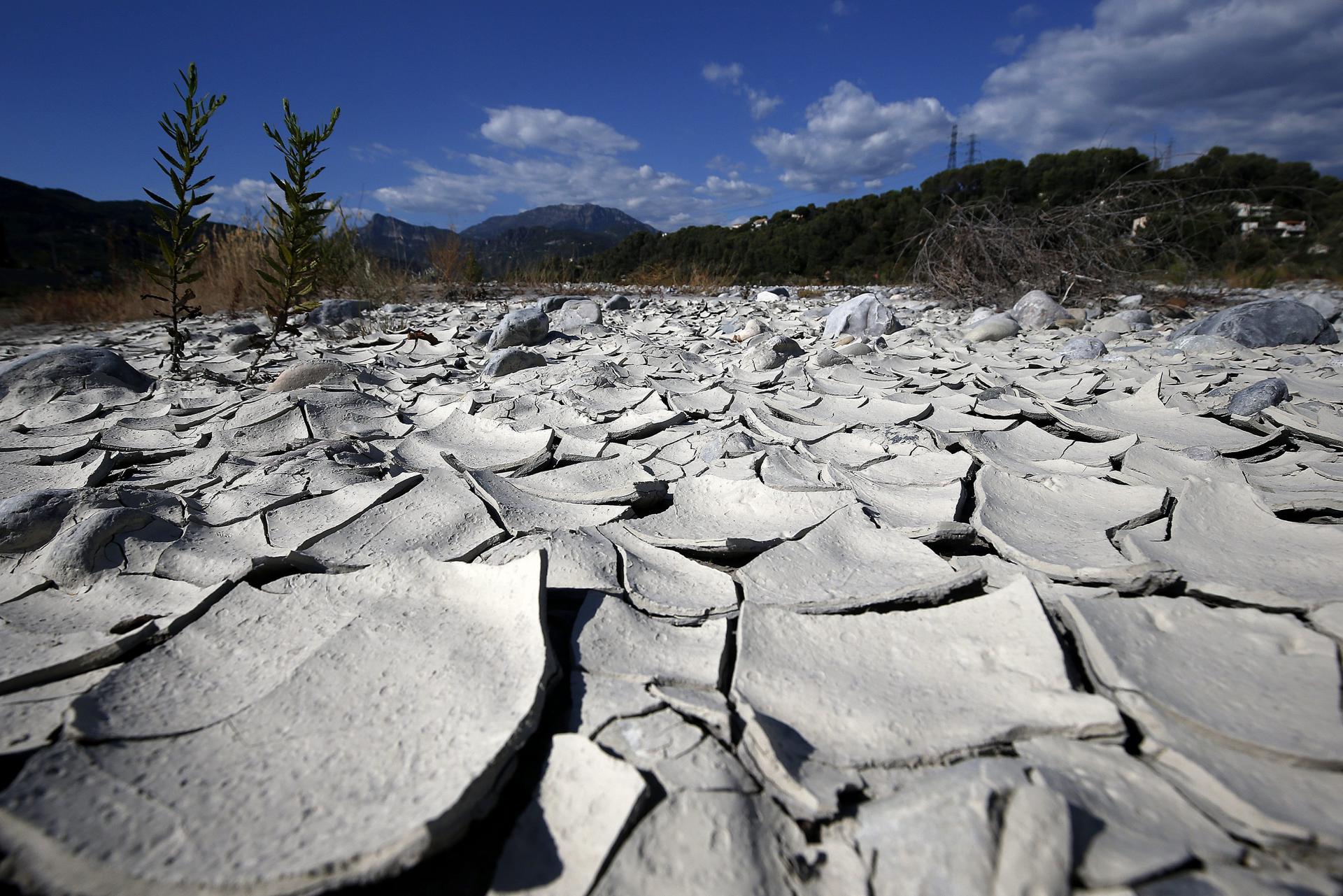 OMM: Julio 2023 ha sido el mes más caluroso en el planeta