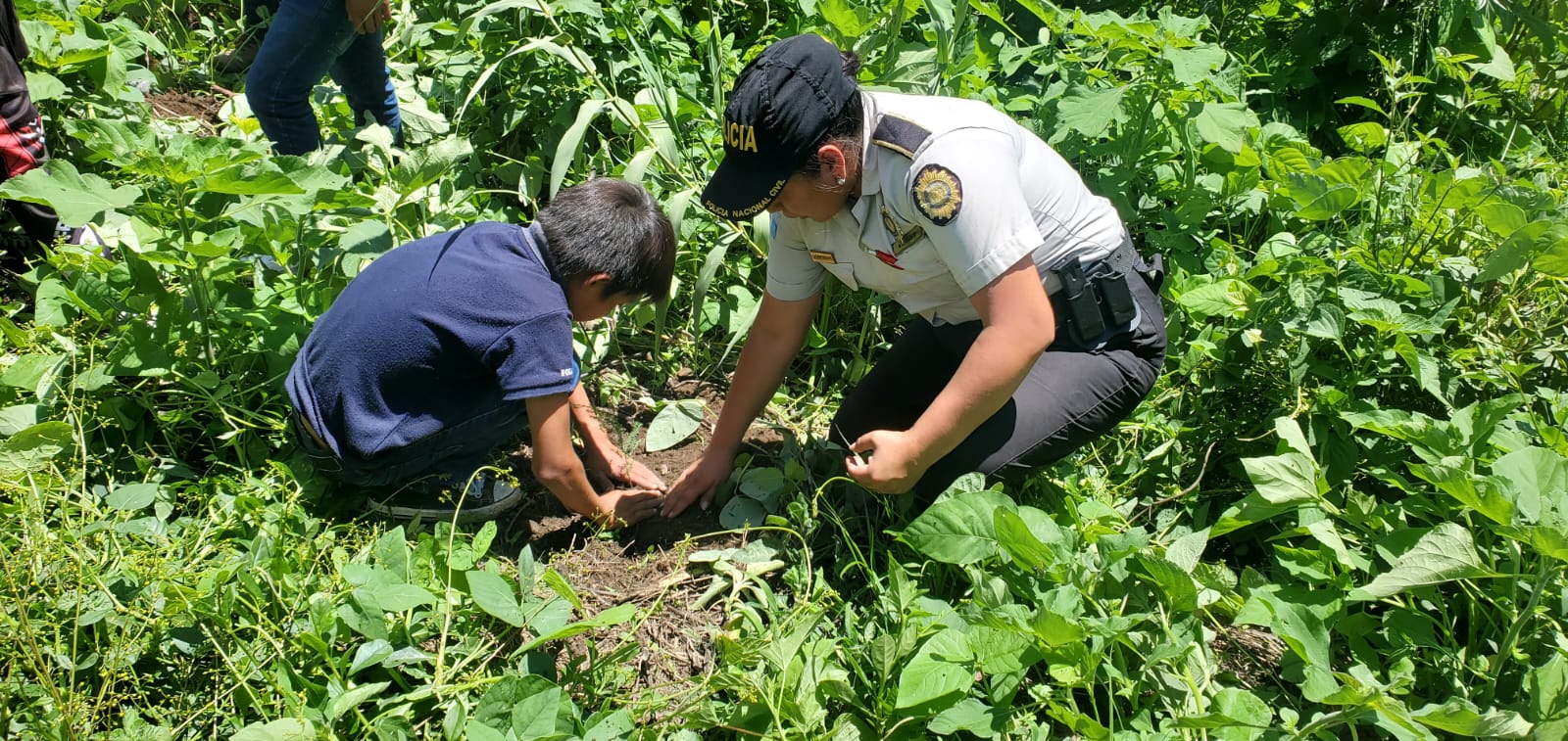 PNC se une a la reforestación con vecinos