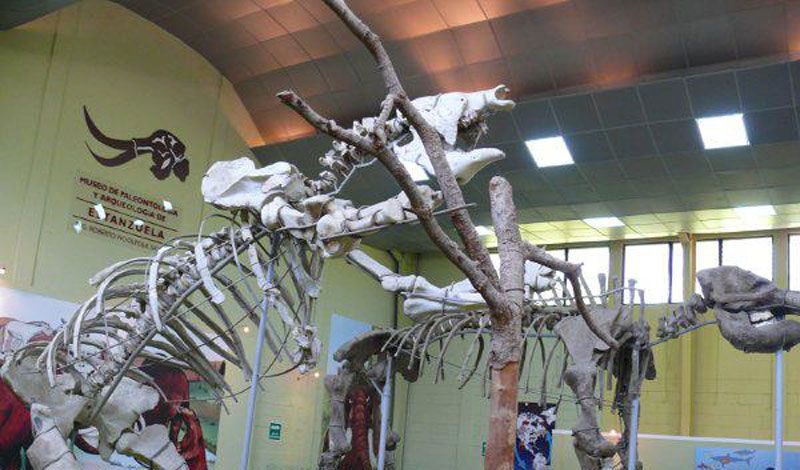Museo de Estanzuela resguarda diversas piezas históricas. /Foto: DCA