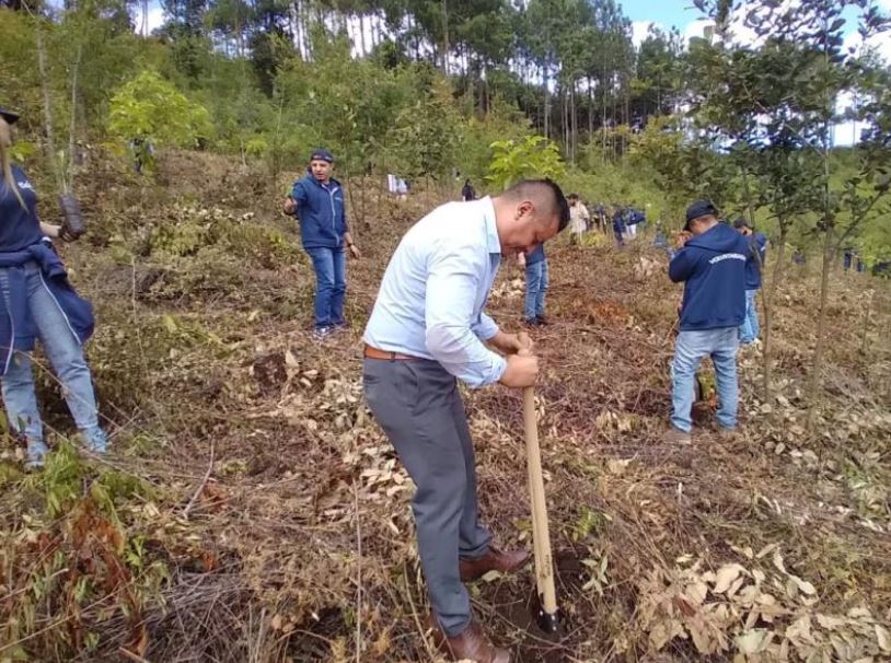 MARN y jóvenes voluntarios reforestan en Chimaltenango