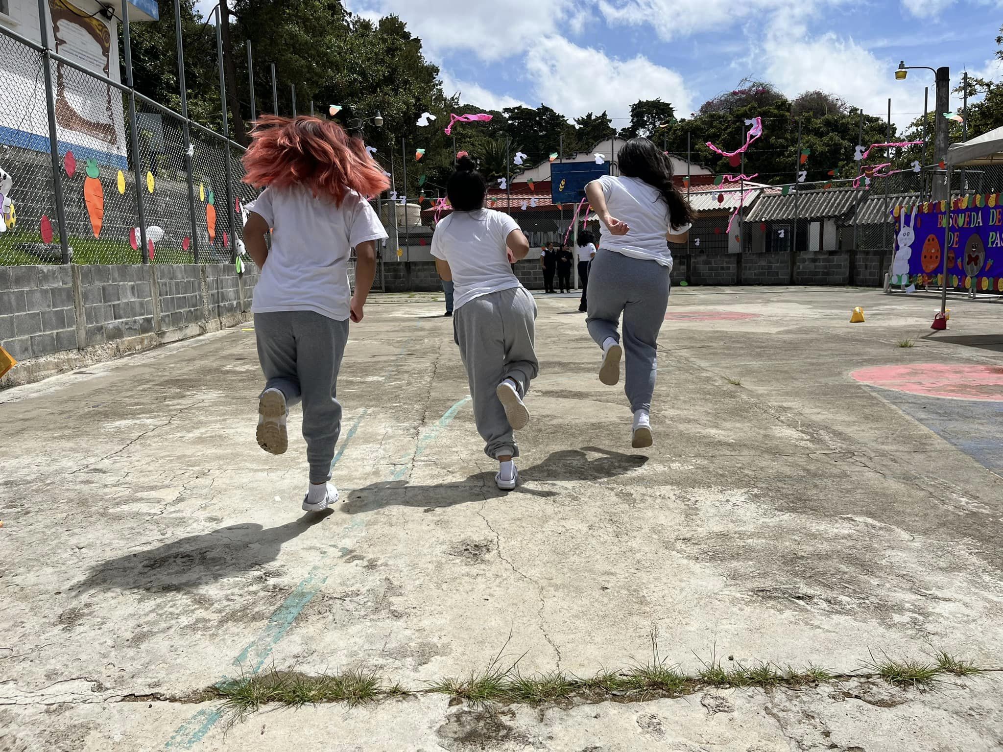Programa de reinserción juvenil. /Foto: SBS