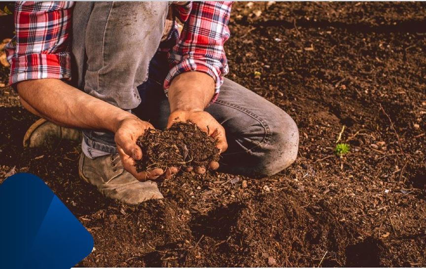 Guatemala se suma al Día Mundial de la Conservación del Suelo