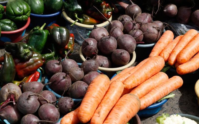 Se inicia Cumbre de Alimentos de las Naciones Unidas