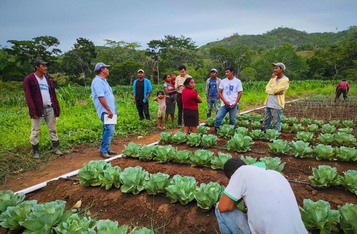 Fortalecen acciones para el apoyo a proveedores de alimentación escolar