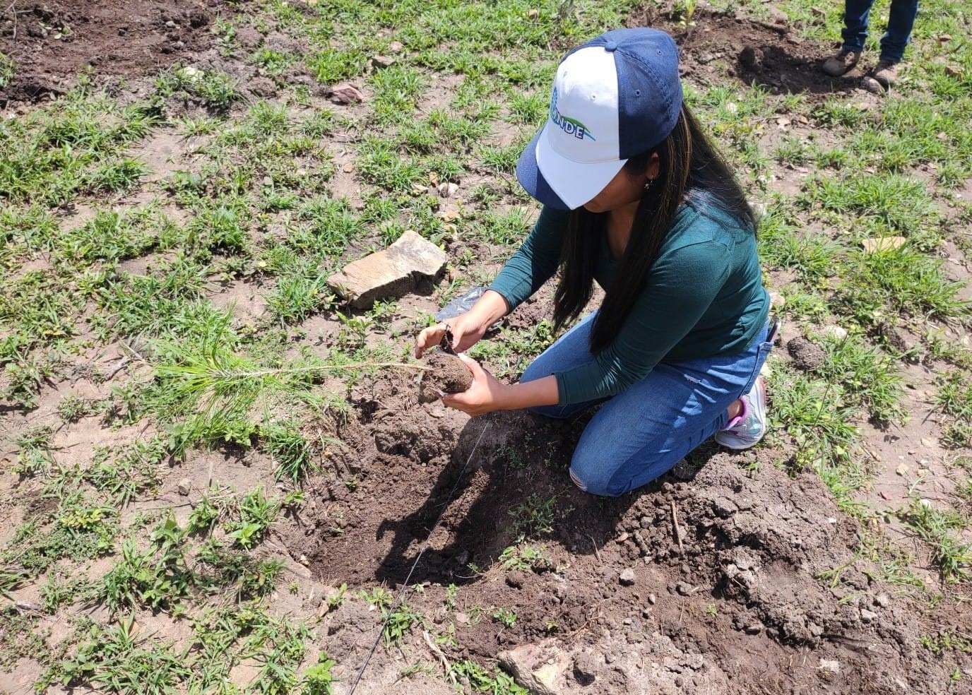 INDE impulsa la reforestación en Baja Verapaz