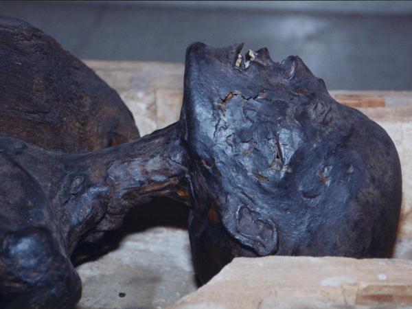 Ciencia revive los exclusivos bálsamos para momificar a la nobleza egipcia