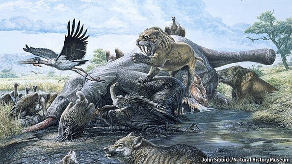 Extinción por fuegos de origen humano hace 13 mil años expone amenaza del cambio climático