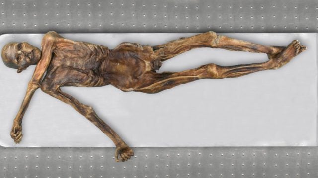 Ötzi tuvo varias reconstrucciones y esta ocasión las tecnologías muestran una muy diferente. / Foto: Südtiroler Archäologiemusem, Marco Samadelli Eurac, Gregor Staschitz.