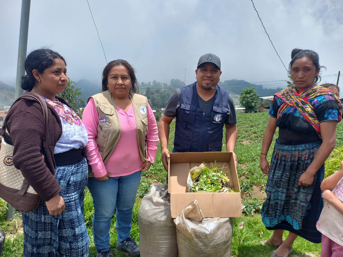 Huertos familiares en Quetzaltenango. /Foto: SESAN