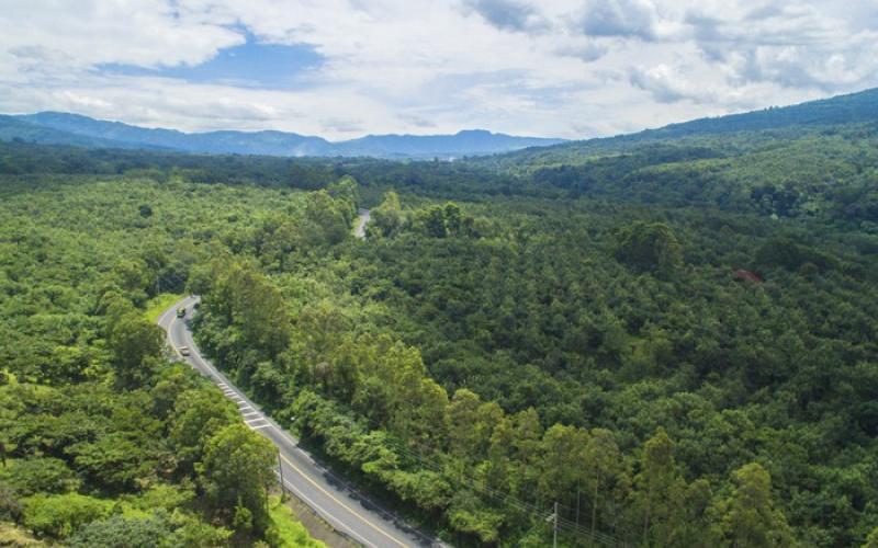 El Gobierno reitera compromiso para la prevención de incendios forestales