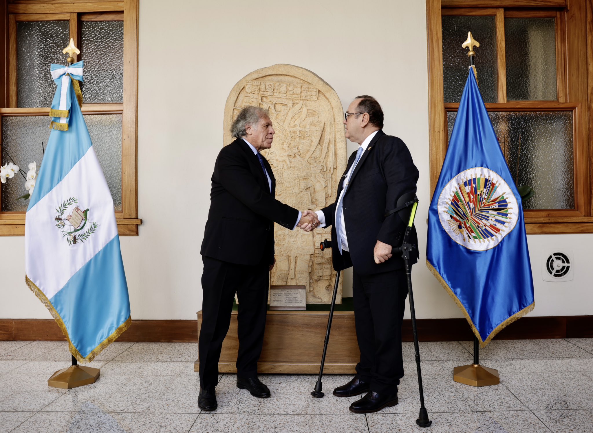 Ejecutivo reitera acompañamiento de la OEA durante proceso de transición