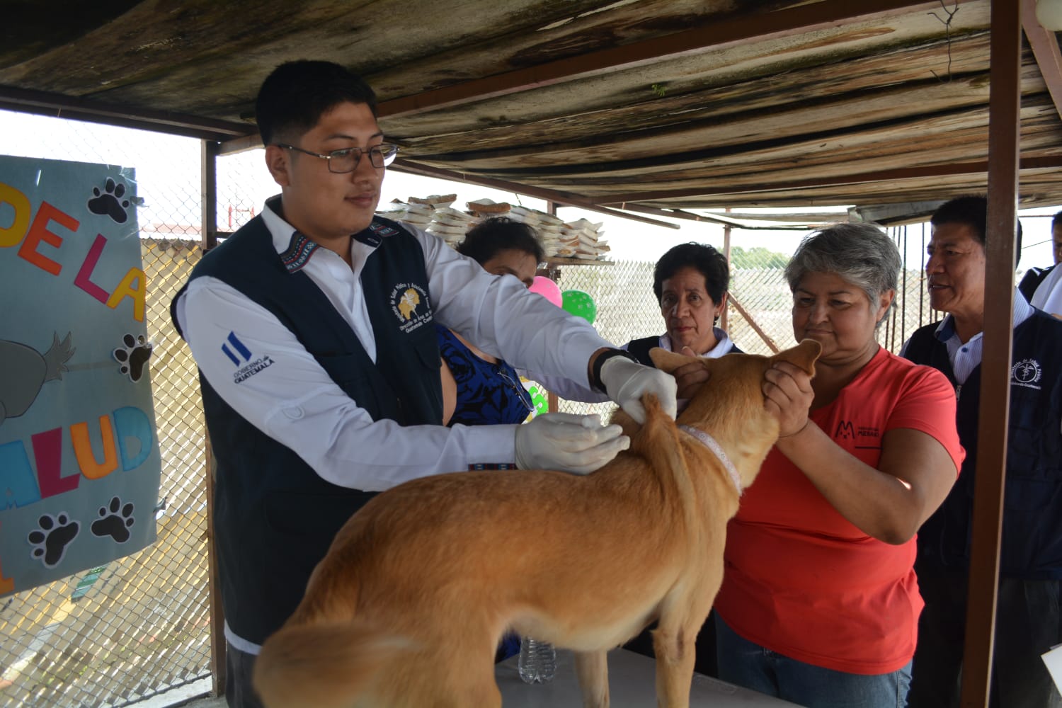 Anuncian jornada de vacunación contra la rabia que llegará a 3.7 millones de perros y gatos