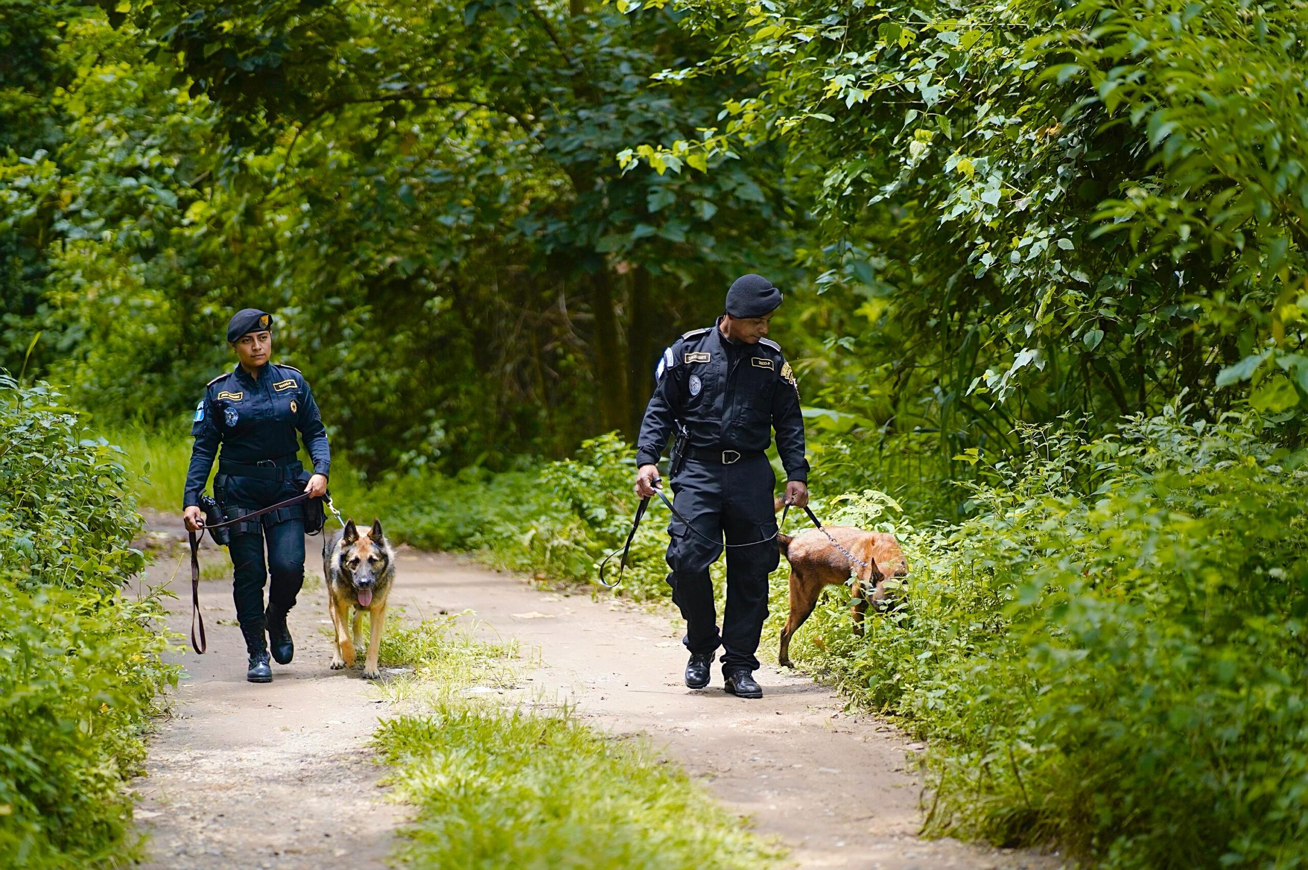 Binomios K-9 brindan seguridad en el territorio nacional