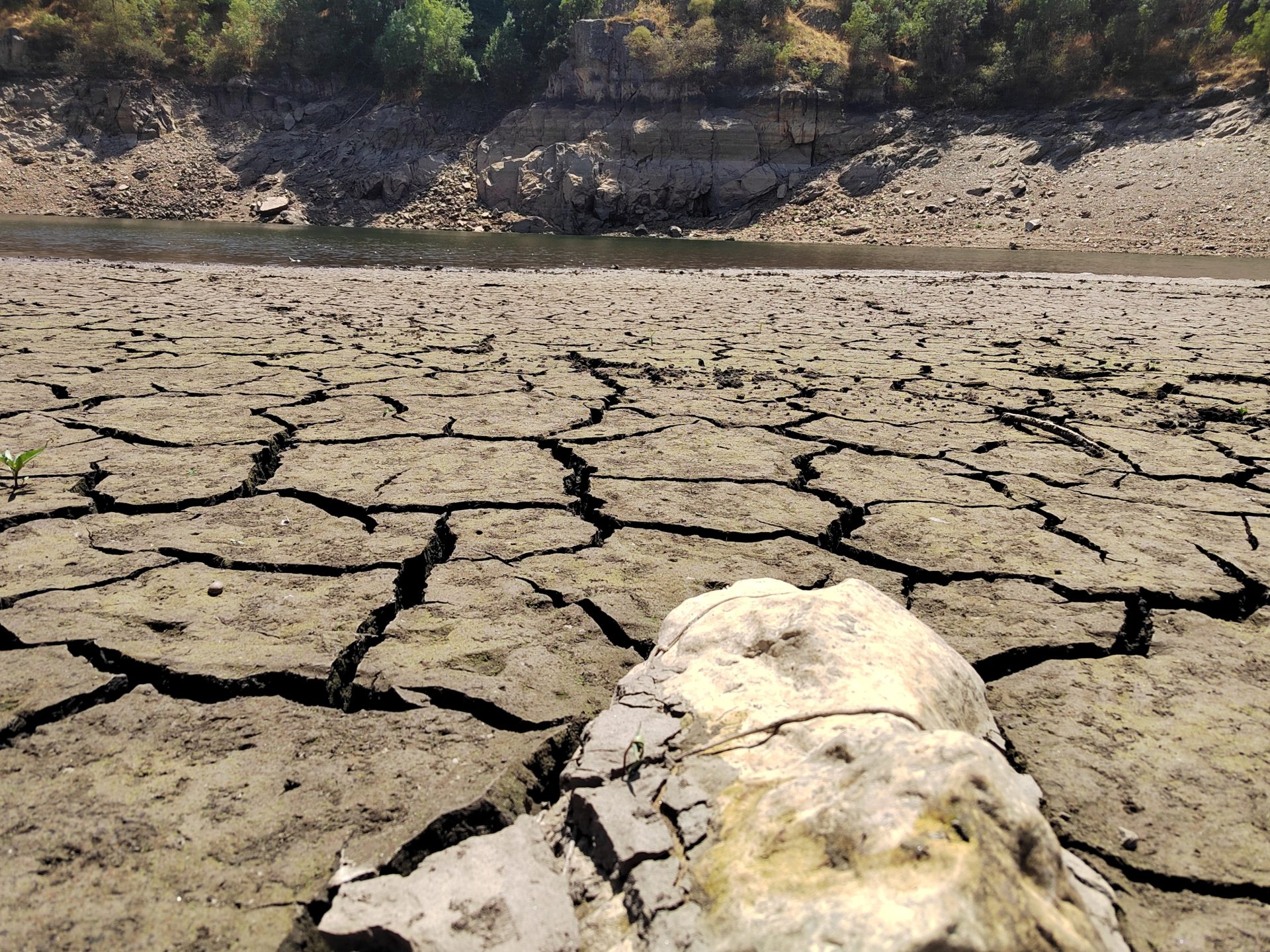 Unesco formará contra la crisis climática y trabajará por reducir los sitios en peligro