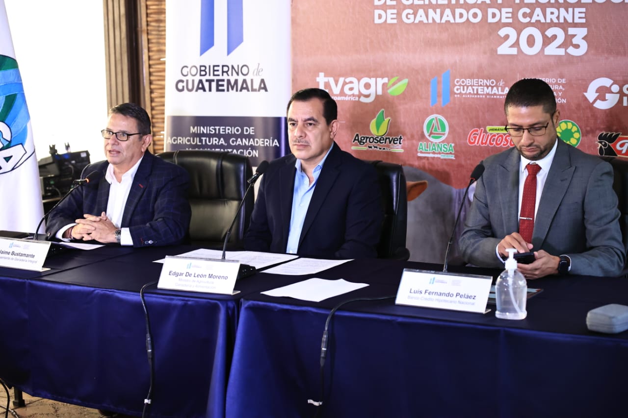 MAGA promueve mejora genética de ganado guatemalteco