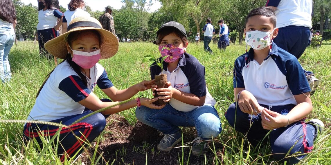 Sembrando Huella logra la plantación de más de 401 mil árboles. / Foto: Inab.