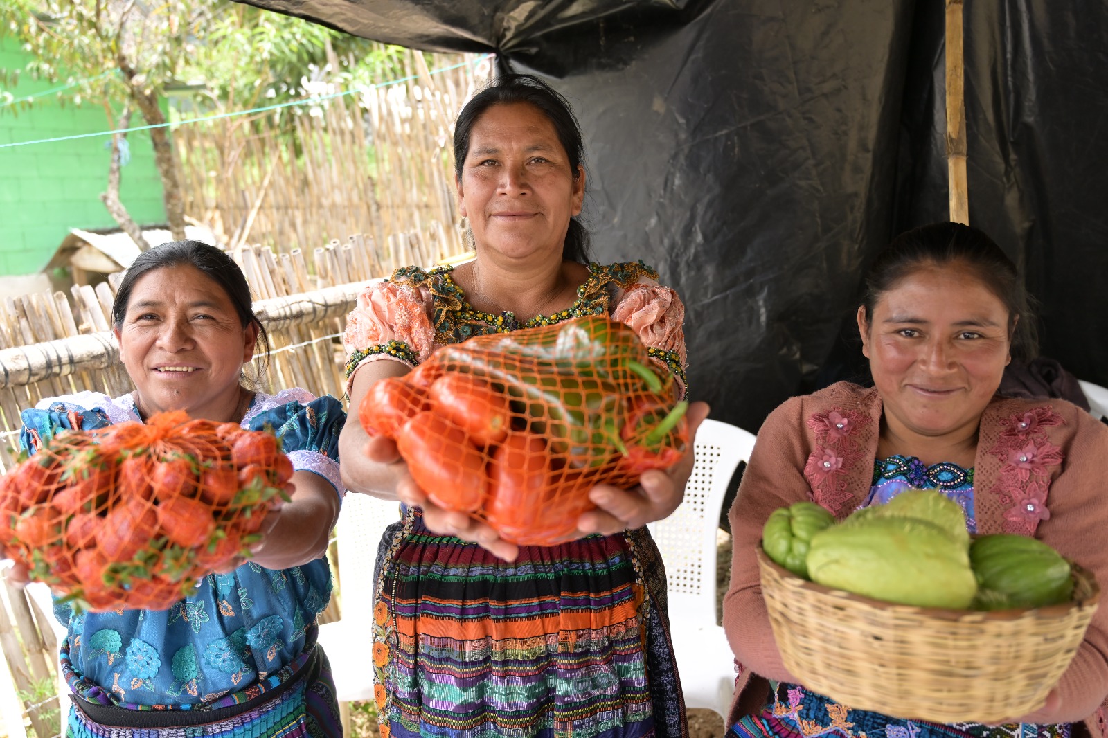 PMA informa sobre acciones a favor de la nutrición en la región
