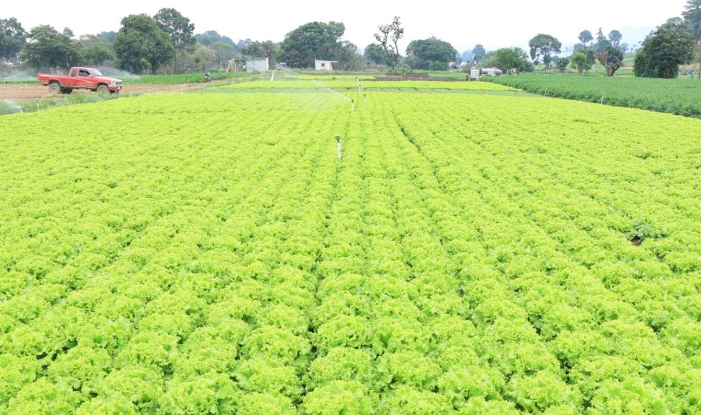 Titular del MAGA hace llamado a autoridades agrícolas de la región