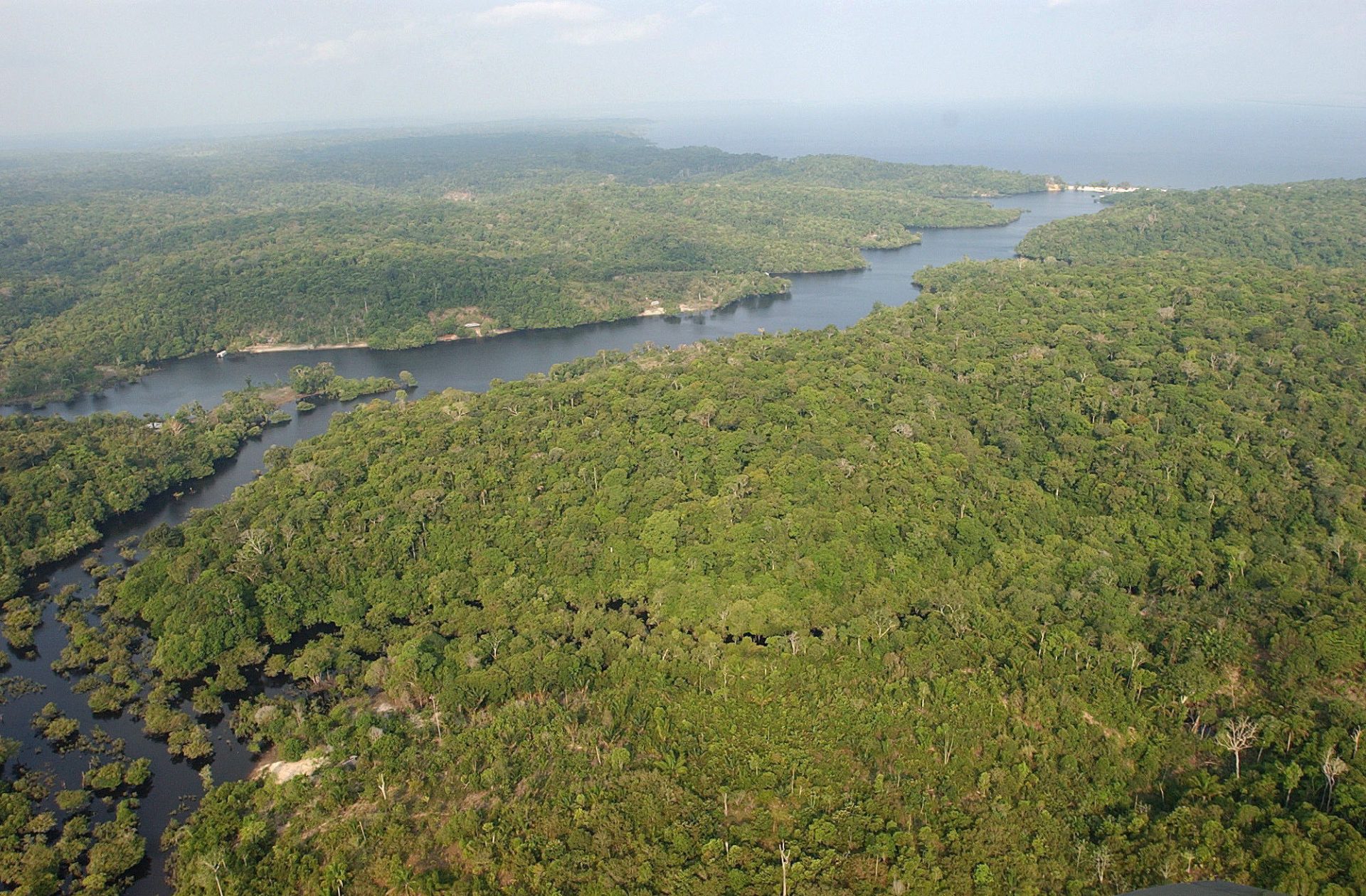 Habitantes amazónicos creaban tierra fértil con toneladas de carbono secuestrado