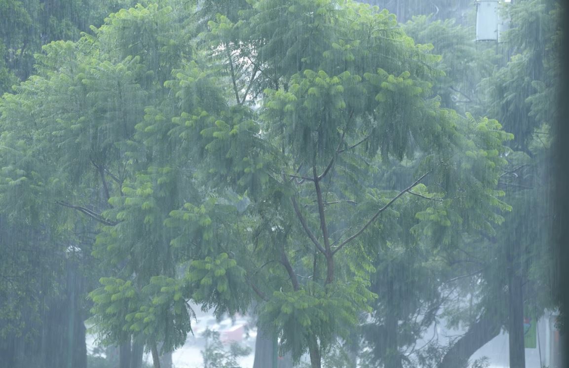 lluvia