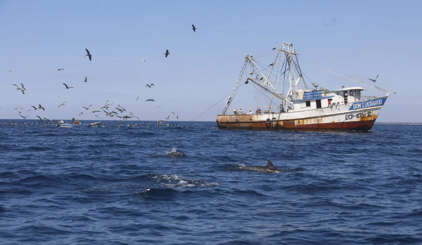 Invitan a aplicar a una de las becas para ser marino mercante. /Foto: DCA