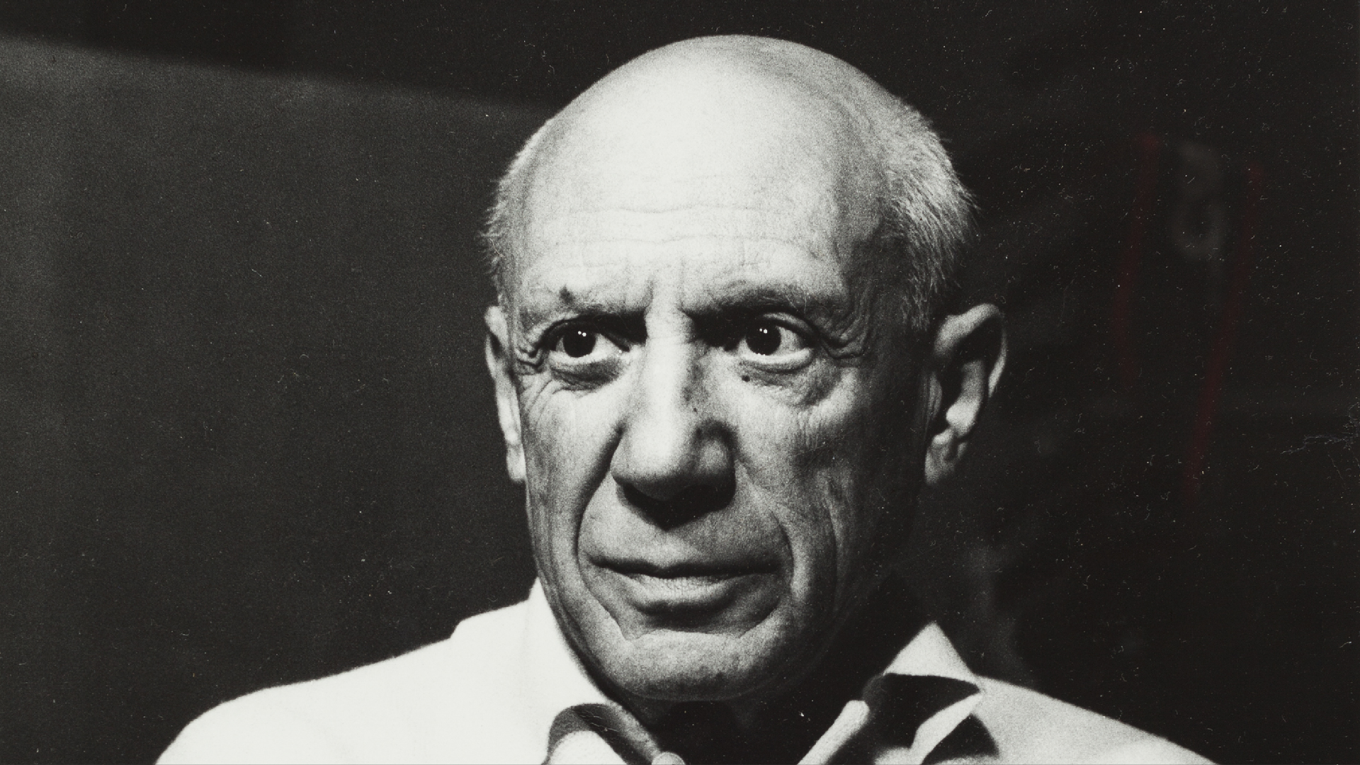 La recopilación sobre Picasso está dividida en varios volúmenes. / Foto: Museo Picasso Barcelona.
